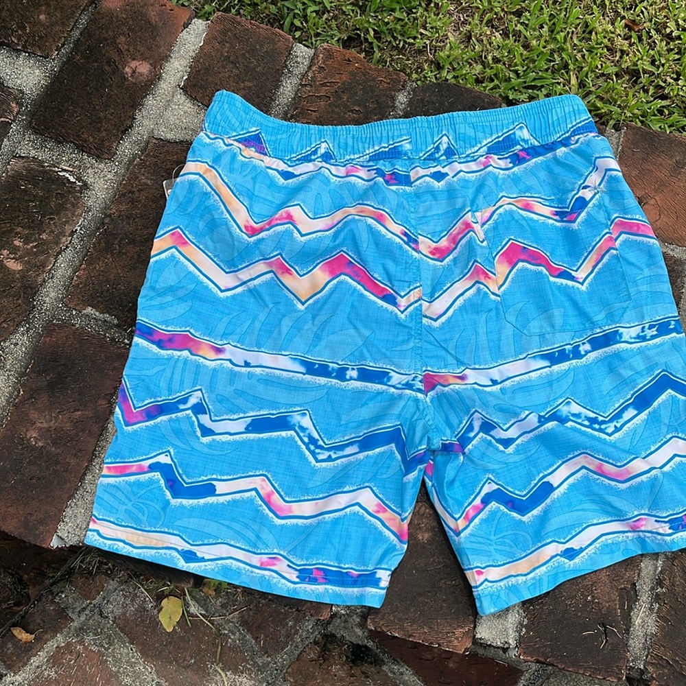 Maui and Sons NWT Blue and Pink Zigzag pool Shorts size Large - Picture 5 of 6
